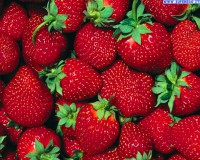 Fragole dolci e asciutte!