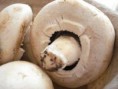 Funghi Champignon